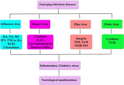 Modulating Neurological Complications of Emerging Infectious Diseases: Mechanistic Approaches to Candidate Phytochemicals